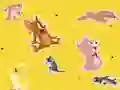 Jeu The Tom and Jerry Show Find it! en ligne
