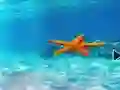 Jeu Escape From Underwater Starfish en ligne
