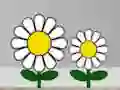 Jeu Find Succulent Plant en ligne