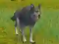 Jeu The Wolf: Wild Animal Simulator en ligne