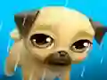 Jeu My Virtual Pet Louie the Pug en ligne