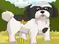 Jeu Dogs Spot the Diffs Part 2 en ligne