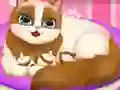 Jeu Cute Kitty Pregnant en ligne