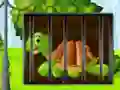 Jeu Turtle Fiery Escape en ligne
