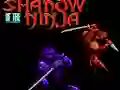 Jeu Shadow of the Ninja en ligne