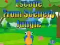 Jeu Escape from Scenery Jungle en ligne