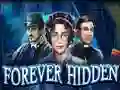 Jeu Forever Hidden en ligne
