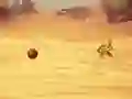 Jeu Monkey Shooting en ligne