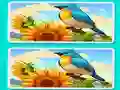 Jeu Spot the Difference The Garden en ligne