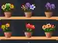 Jeu Good Flower Master en ligne