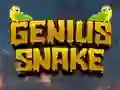 Jeu Genius Snake en ligne