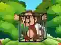 Jeu Free the Captive Ape en ligne