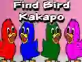 Jeu Find Bird Kakapo en ligne