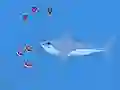 Jeu Oceans Shees en ligne