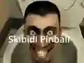 Jeu Skibidi Pinball en ligne