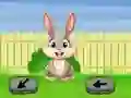 Jeu Springtime Escape en ligne