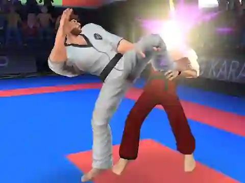 Jeu Karate Fighter en ligne