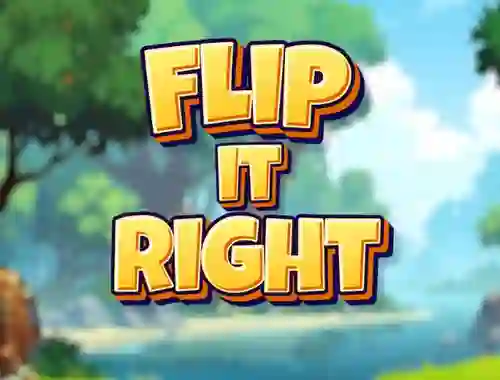 Jeu Flip It Right en ligne
