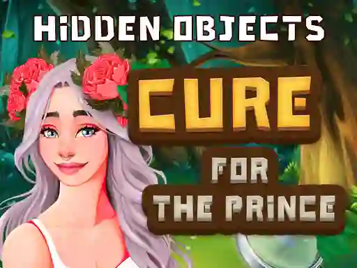 Jeu Hidden Objects Cure For The Prince en ligne