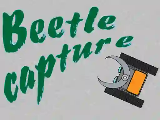 Jeu Beetle Capture en ligne