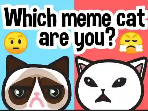 Jeu Which Meme Cat Are You? en ligne