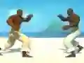 Jeu Capoeira fighter en ligne