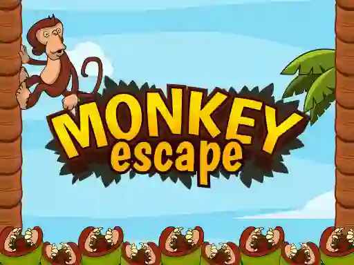 Jeu Monkey Escape en ligne