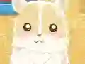 Jeu Hamster Love en ligne