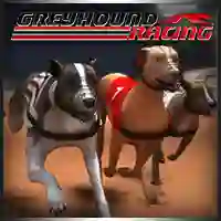 Jeu Greyhound Racing en ligne