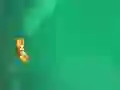 Jeu Anti Body en ligne