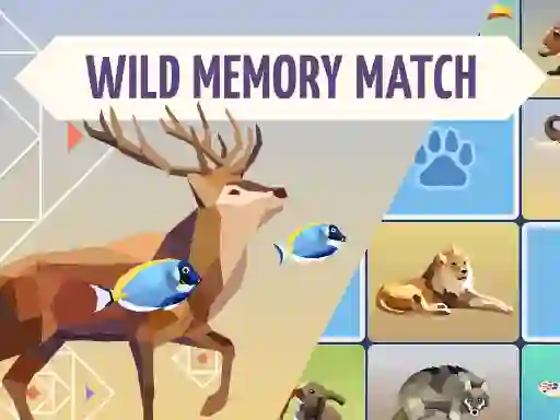 Jeu Wild Memory Match en ligne