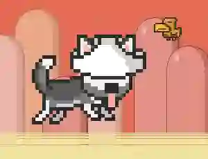 Jeu Mr Jump Husky en ligne