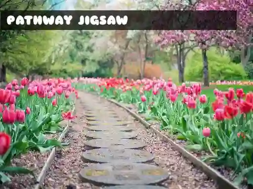 Jeu Pathway Jigsaw en ligne