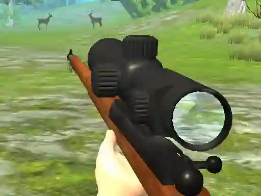 Jeu Hunter 3D en ligne