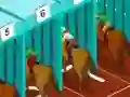 Jeu Derby racing en ligne