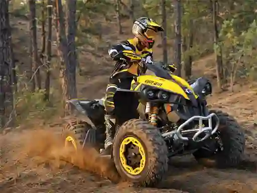 Jeu ATV Offroad Puzzle en ligne