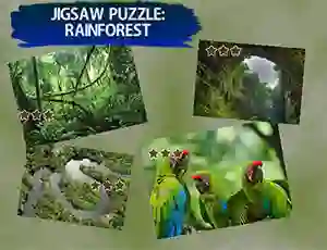 Jeu Jigsaw Puzzle Rain Forest en ligne