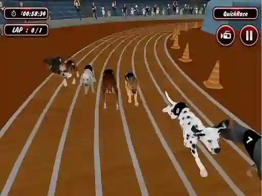 Jeu Crazyl Dog Racing Fever en ligne