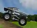 Jeu Crazy Mustang en ligne