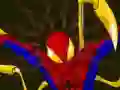 Jeu Spiderman Customization en ligne