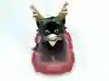 Jeu Pet Sledding en ligne