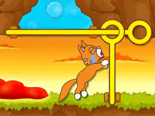 Jeu Save The Kitten en ligne