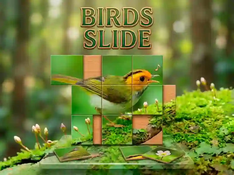 Jeu Birds Slide en ligne