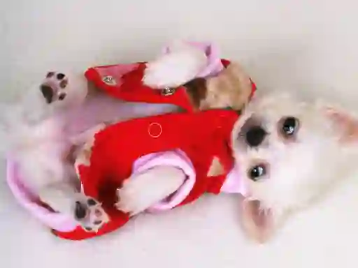 Jeu Lovely Puppy Slide en ligne