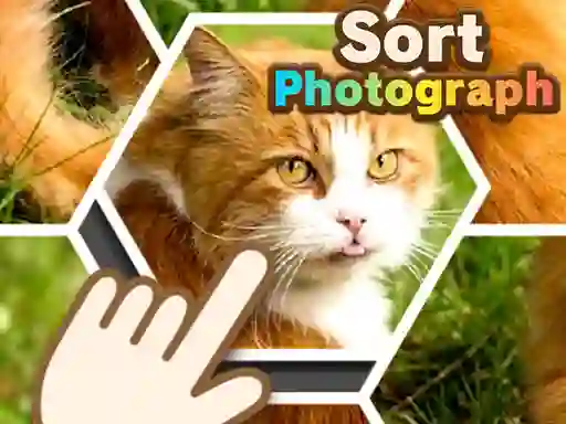 Jeu Sort Photograph en ligne
