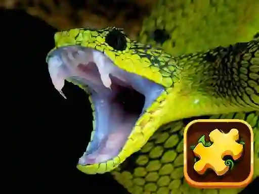 Jeu Snake Puzzle Challenge en ligne