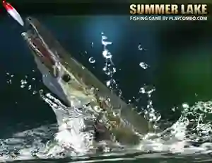 Jeu Summer Lake en ligne