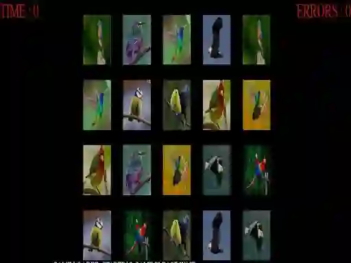 Jeu Memorize the birds en ligne