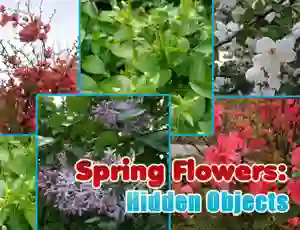 Jeu Spring Flowers: Hidden Objects en ligne