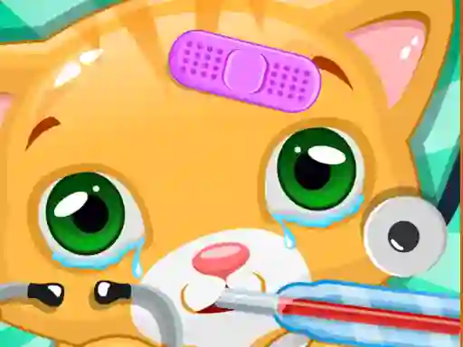 Jeu Little Cat Doctor en ligne